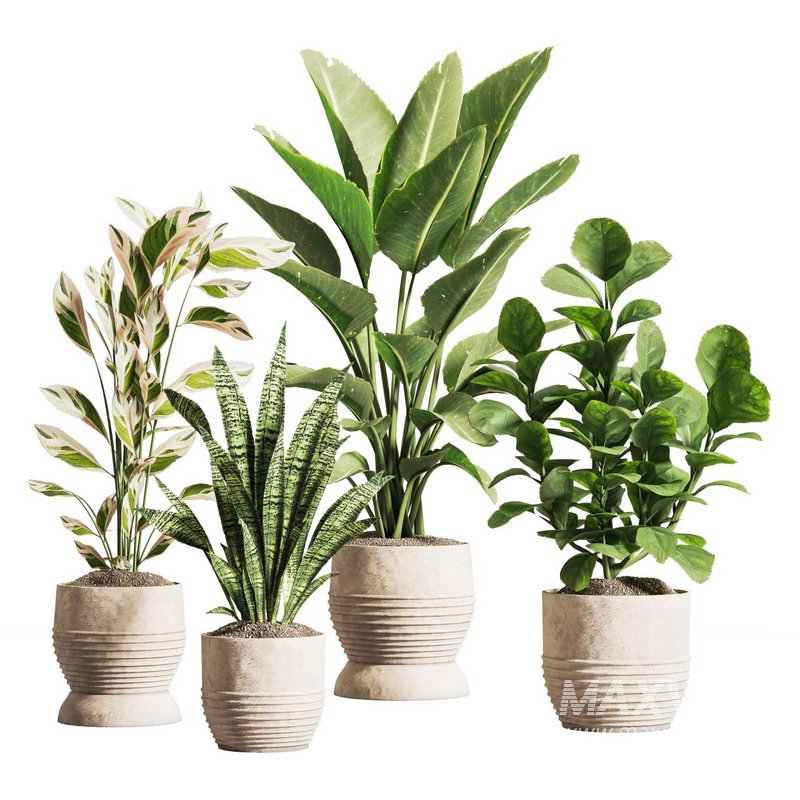 IndoorPlantSet03 - Image 1