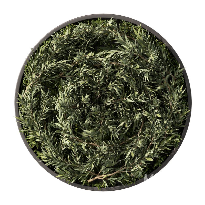 Fitowall Set.5 - Image 1