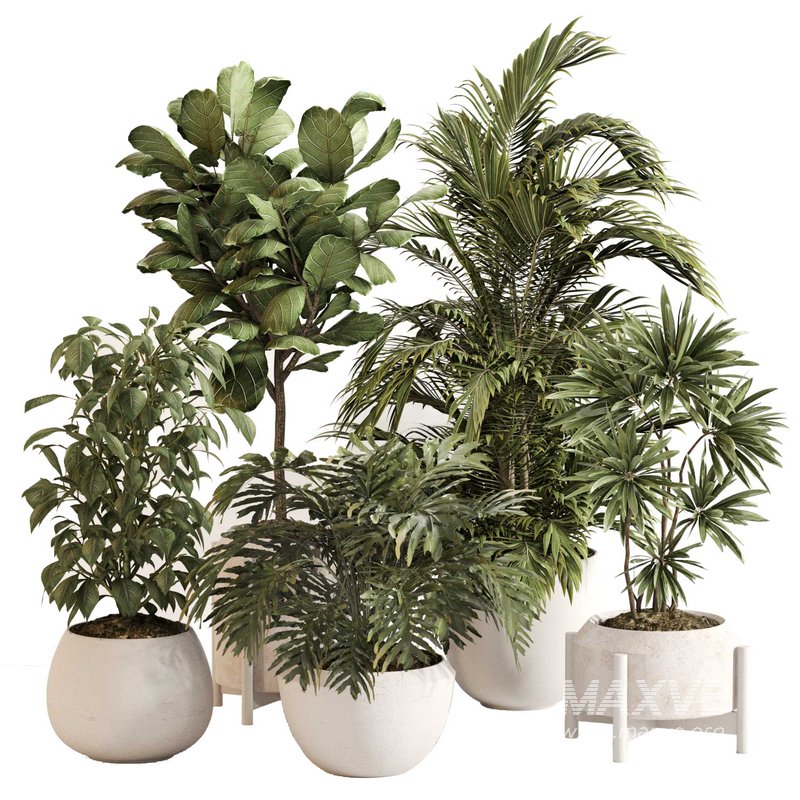 Indoor Plant Set 0145 - Image 1