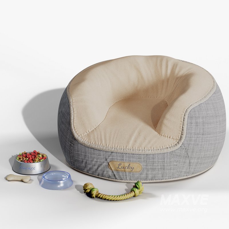 Dog accessories - Image 8