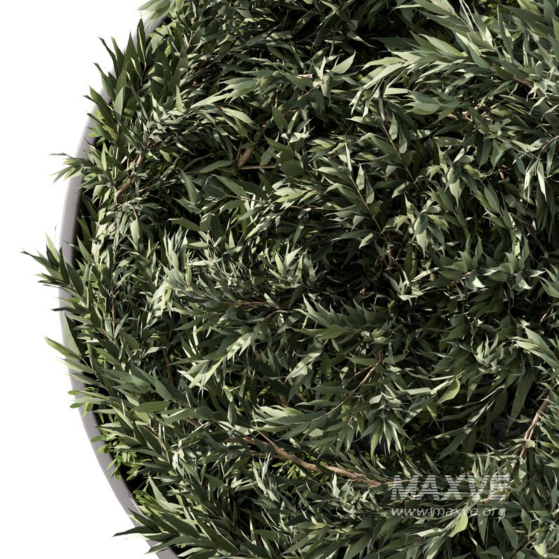 Fitowall Set.5 - Image 3