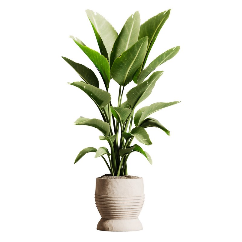 IndoorPlantSet03 - Image 2