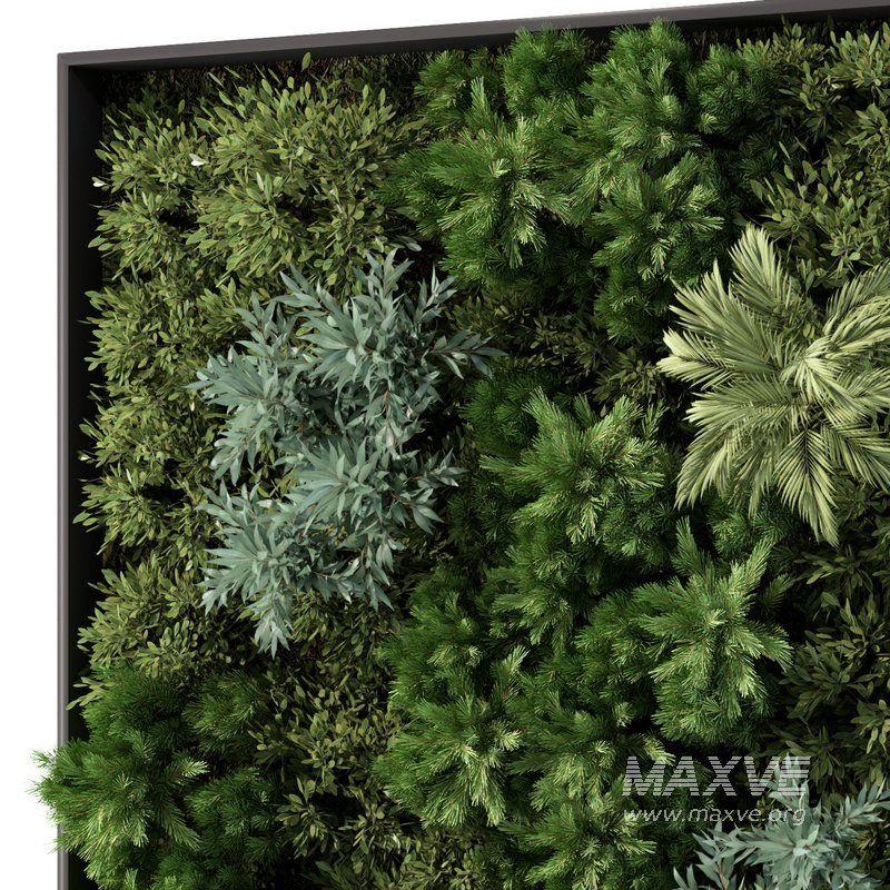 Fitowall Set No.1 - Image 5