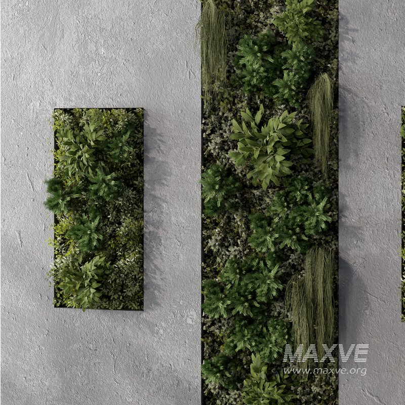 Fitowall No.2 - Image 3