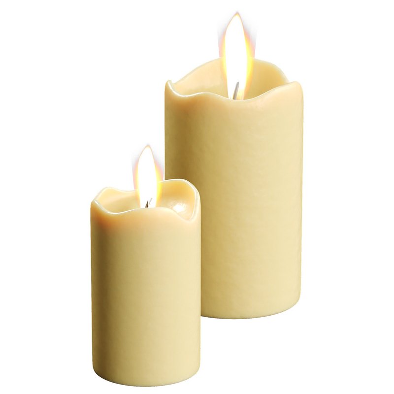 Decorative Fir - Image 4