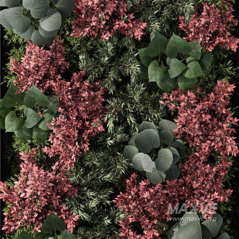 Fitowall Set.3 - Image 5