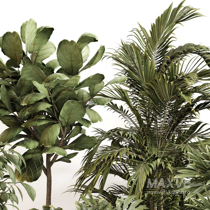 Indoor Plant Set 0145 - Image 3