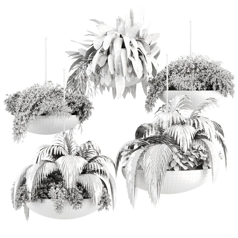 Indoorplants-Hanging plants set-82 - Image 4