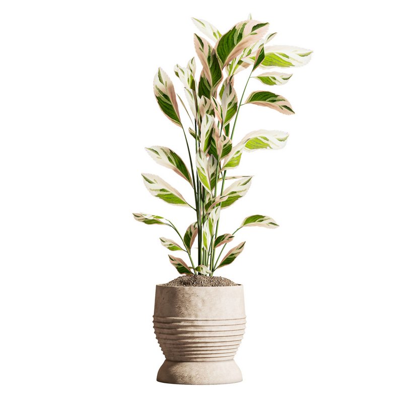 IndoorPlantSet03 - Image 3