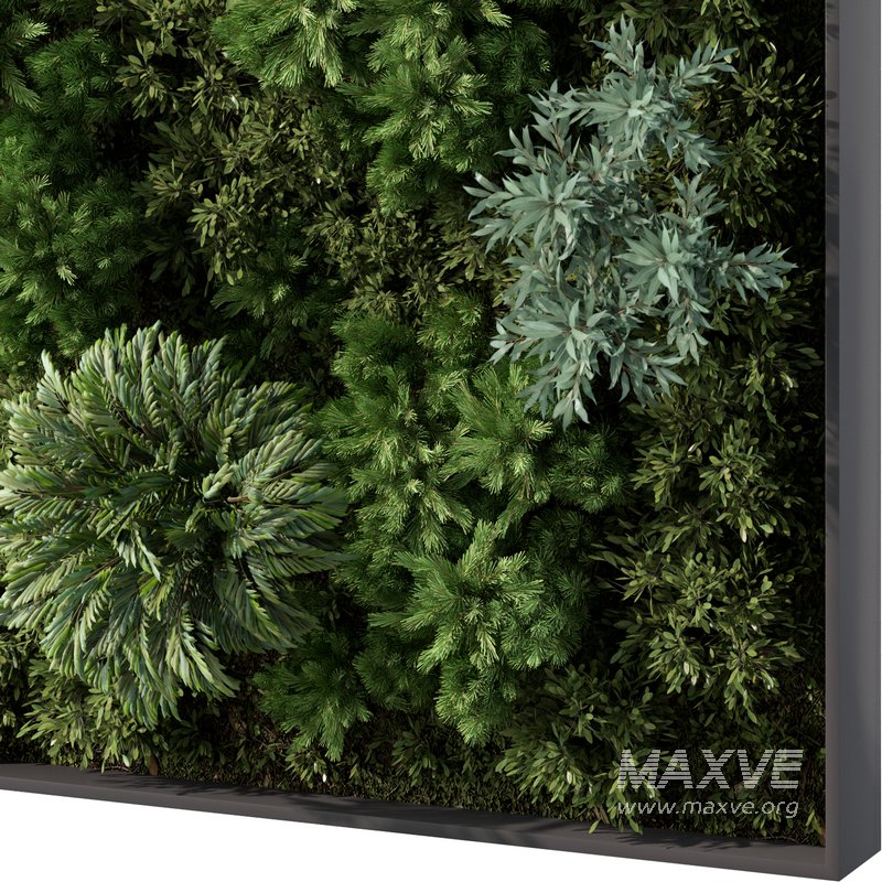 Fitowall Set No.1 - Image 2