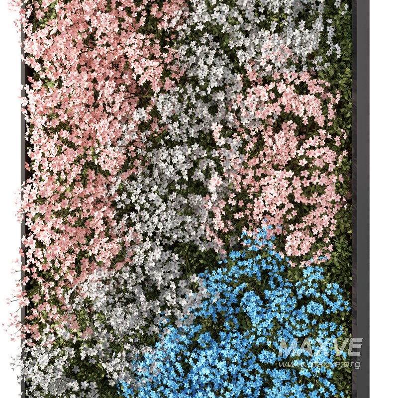 Fitowall Set.4 - Image 2