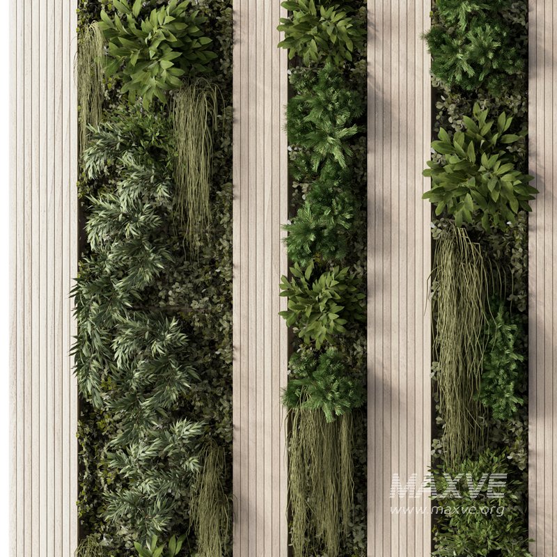 Fitowall Set.6 - Image 2