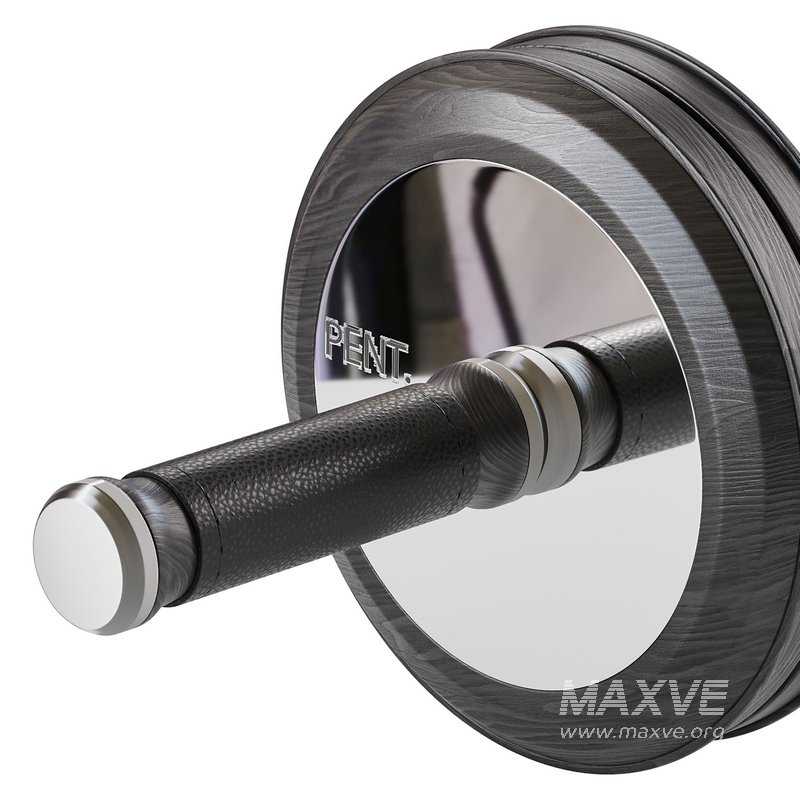 TWISTA Luxury Gym AB Roller - Image 7