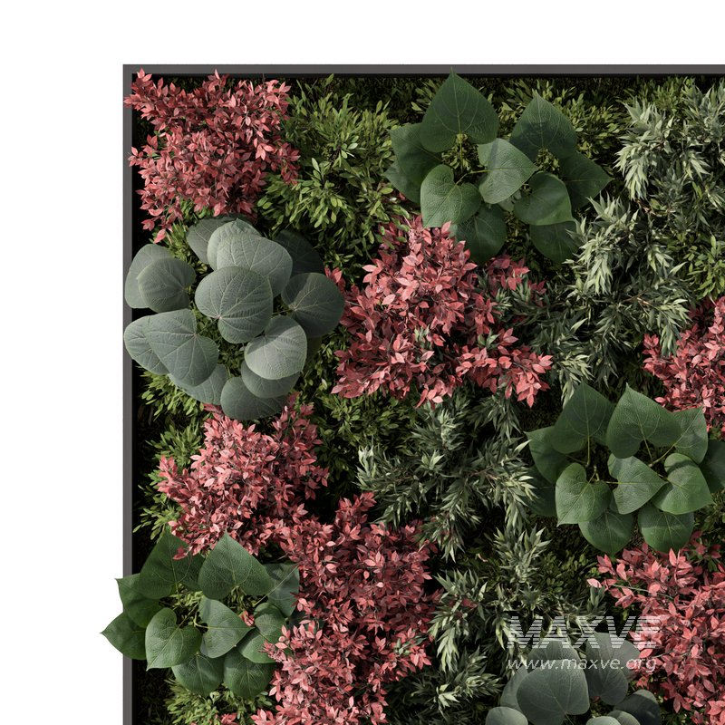 Fitowall Set.3 - Image 2