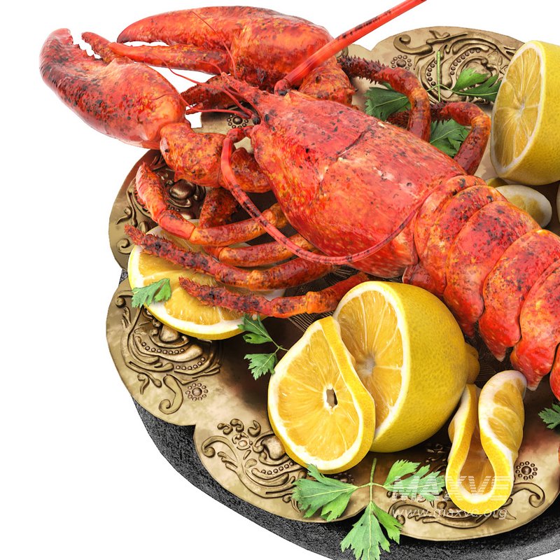 plate of seafood lobster - Image 3