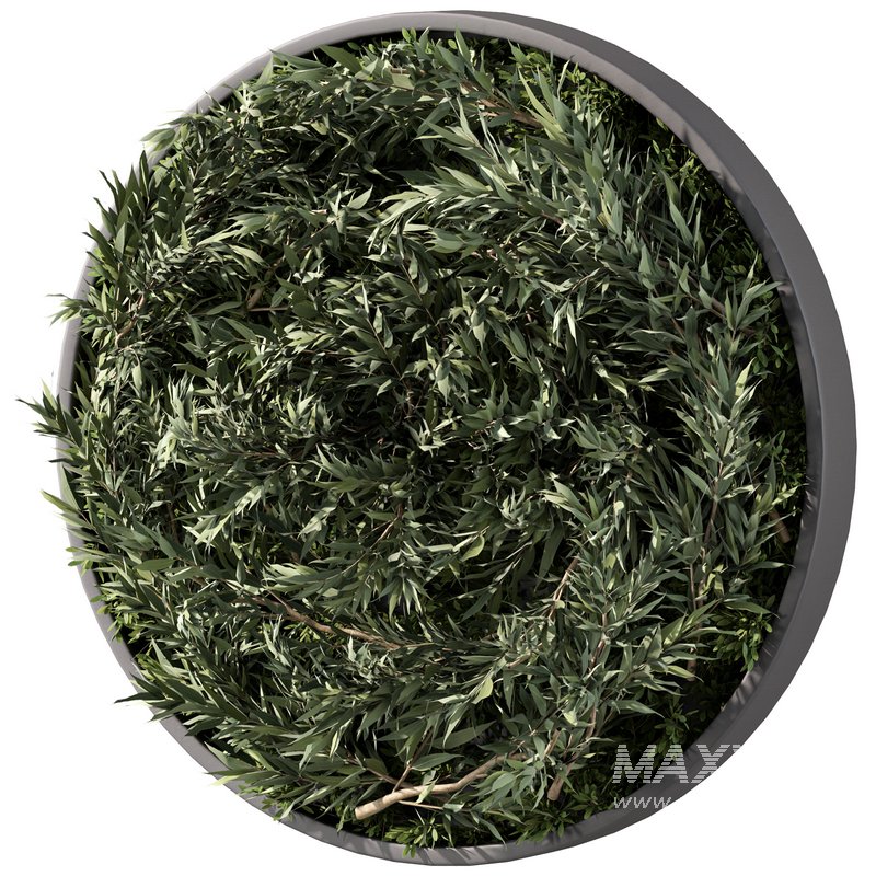 Fitowall Set.5 - Image 2