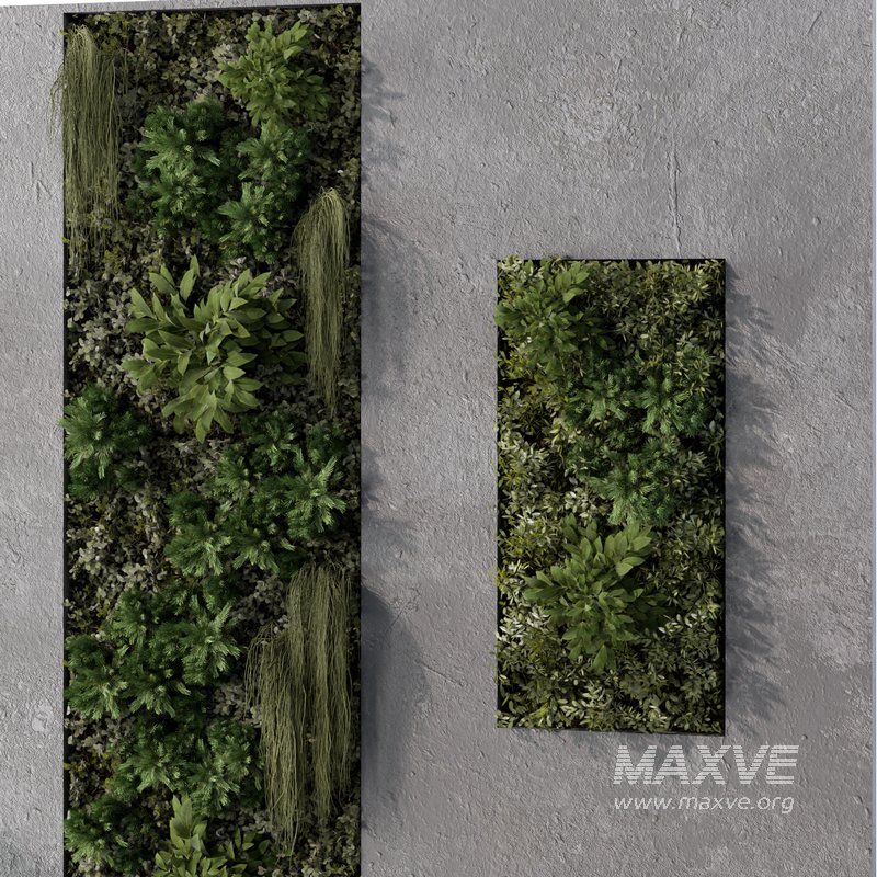 Fitowall No.2 - Image 2