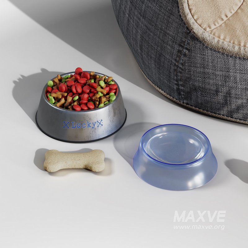 Dog accessories - Image 5