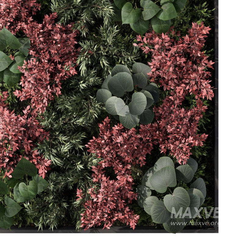 Fitowall Set.3 - Image 3