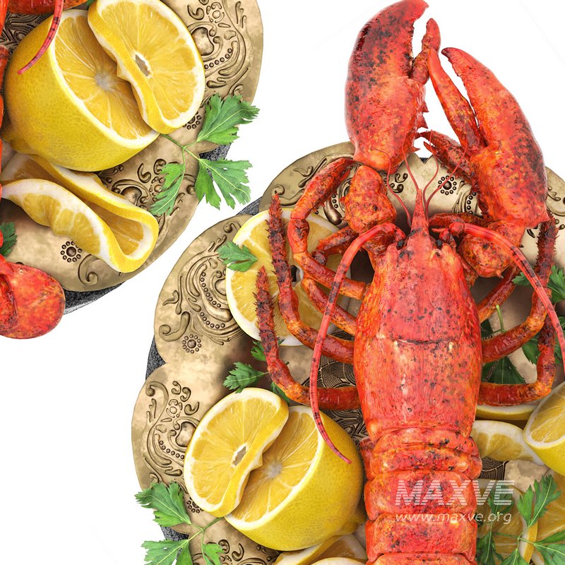 plate of seafood lobster - Image 4
