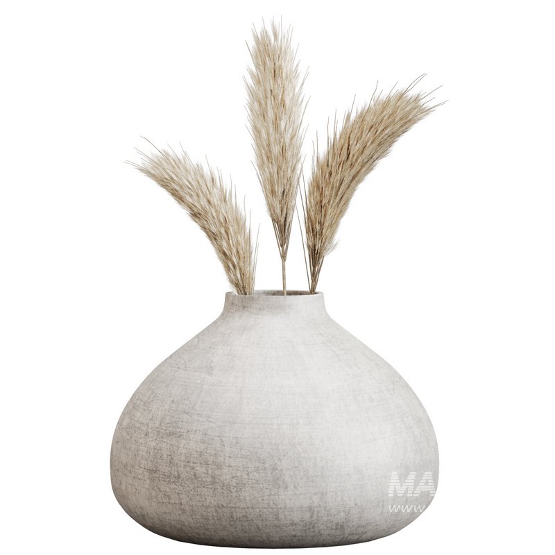 Minimal Dried Pampas Set - Image 4