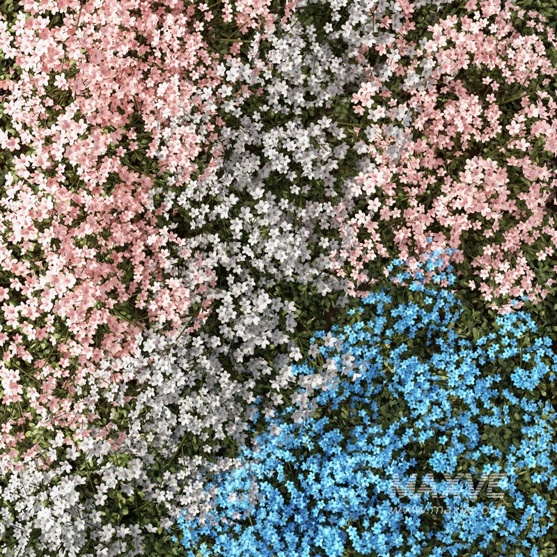 Fitowall Set.4 - Image 3