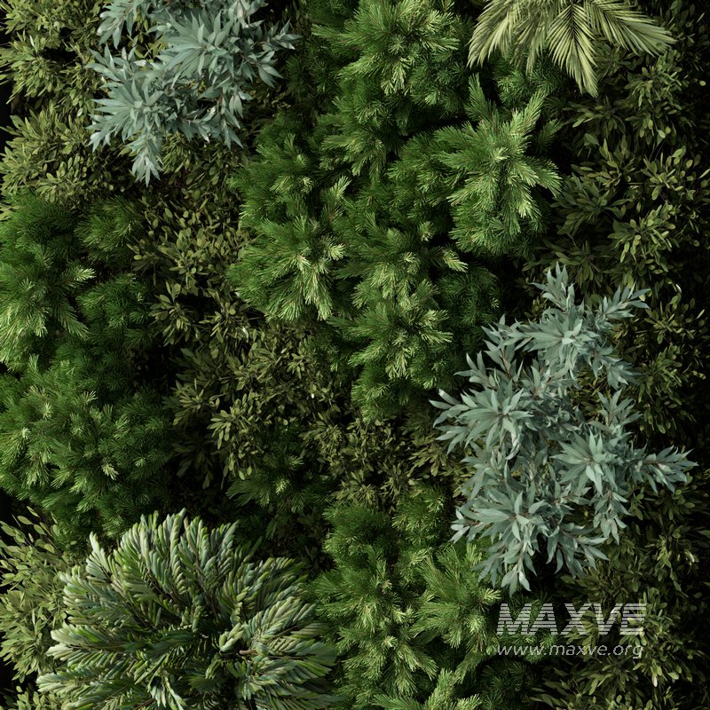 Fitowall Set No.1 - Image 3