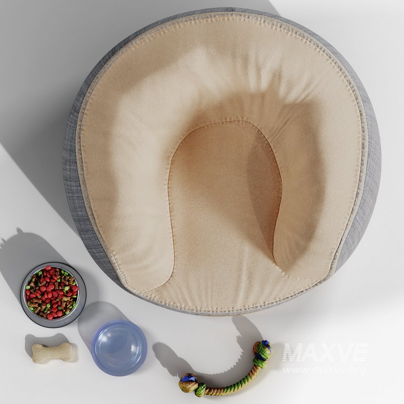 Dog accessories - Image 3