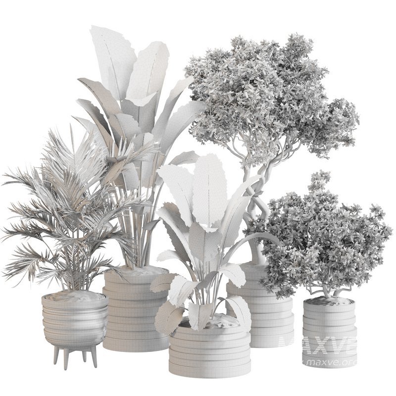 Indoor Plant Set 0142 - Image 5