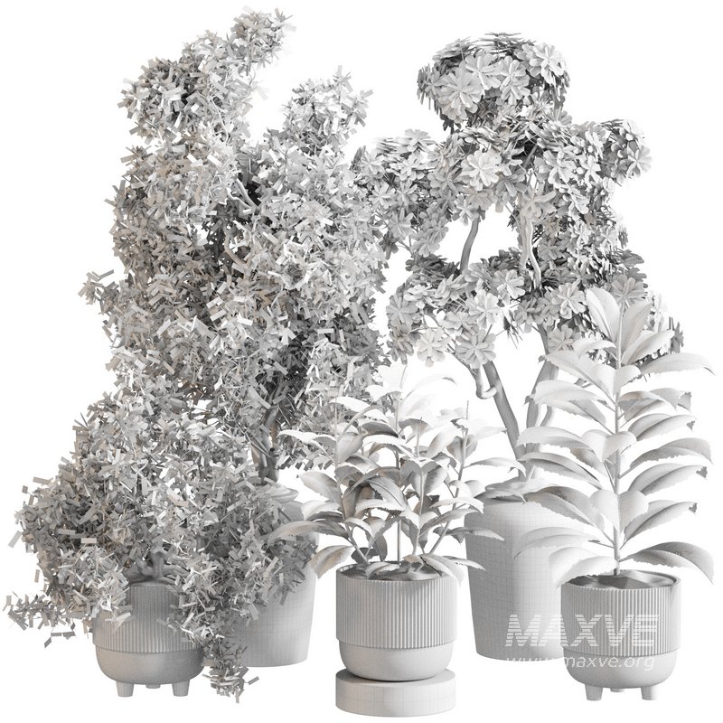 Indoor Plant Set 0141 - Image 4