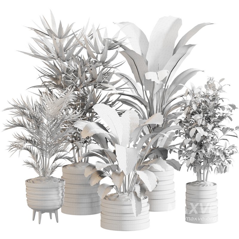 Indoor Plant Set 0146 - Image 5