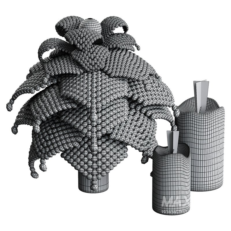 Decorative Fir - Image 3