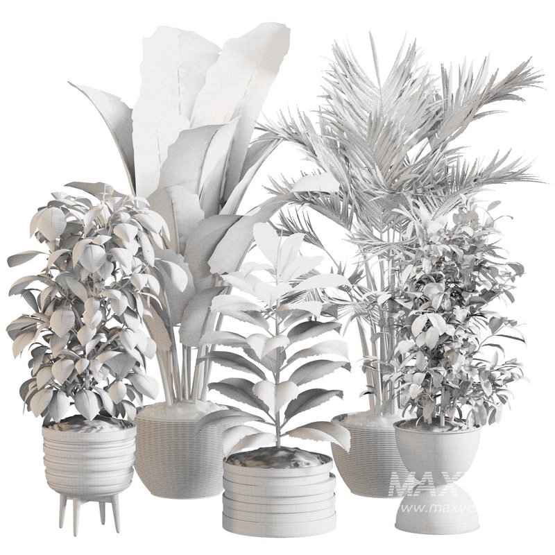 Indoor Plant Set 0143 - Image 5