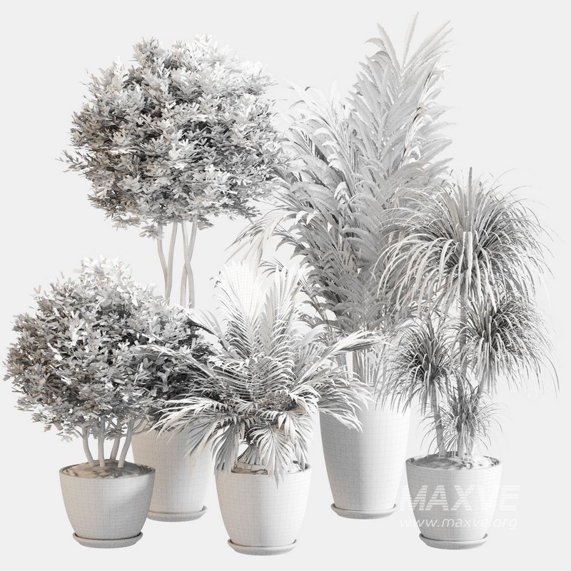 Indoor Plant Set 0144 - Image 4