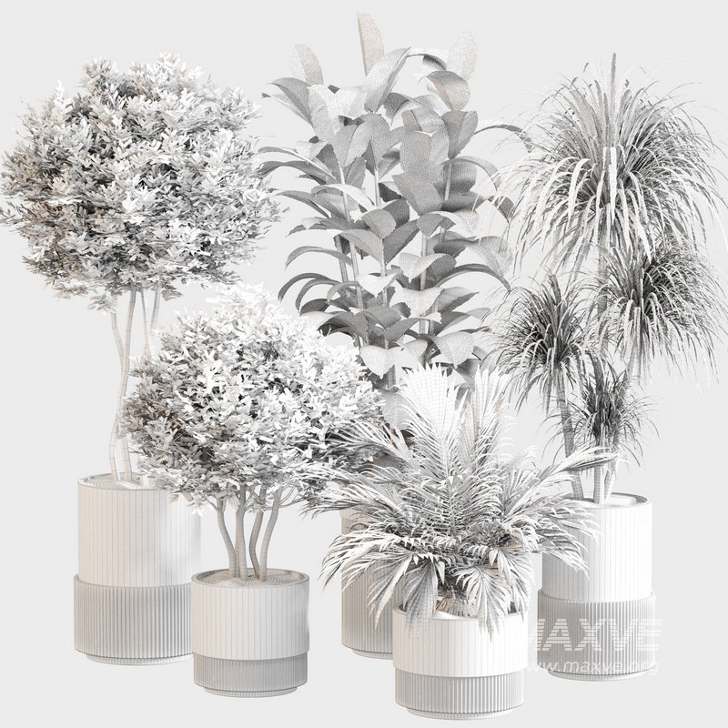 Indoor Plant Set 0109 - Image 5