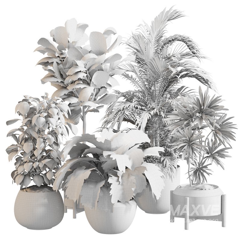 Indoor Plant Set 0145 - Image 5