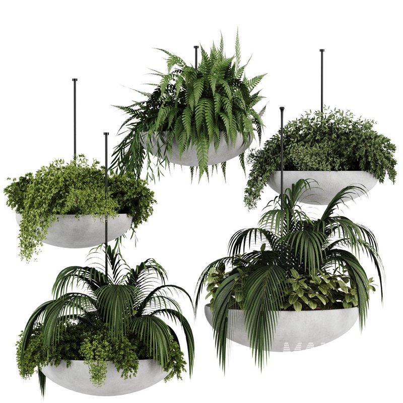 Indoorplants-Hanging plants set-82 - Image 1