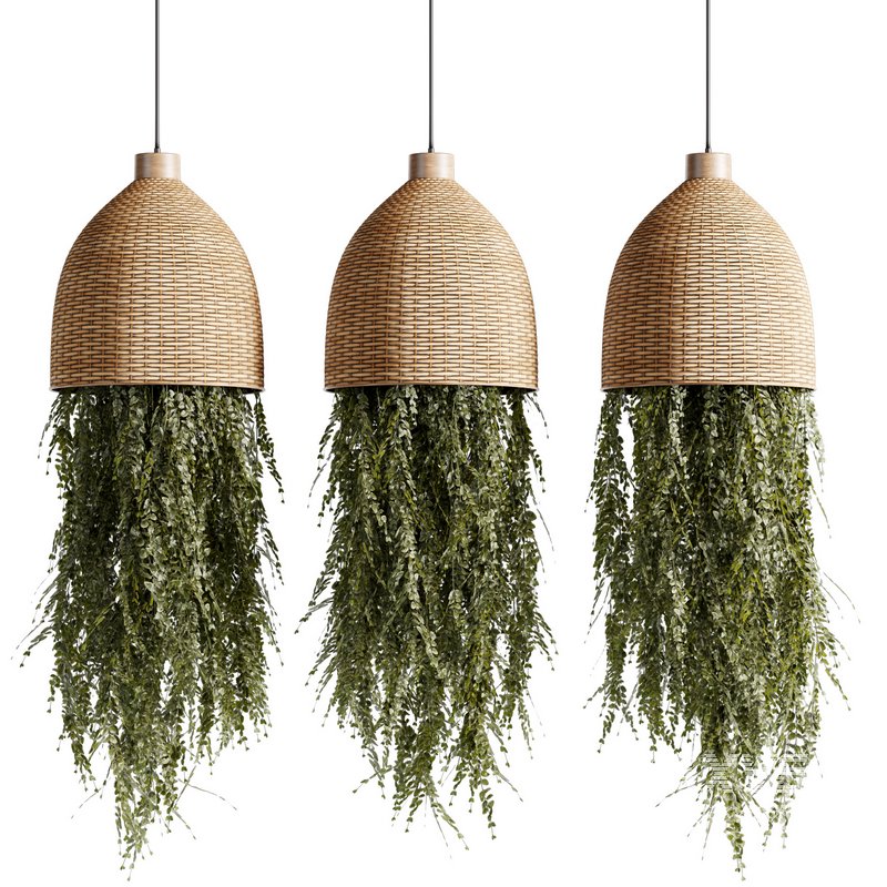 Indoorplants-Hanging plants set-81 - Image 1