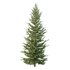 spruce tree001 - Thumbnail 1