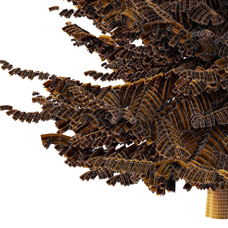 spruce tree001 - Image 2