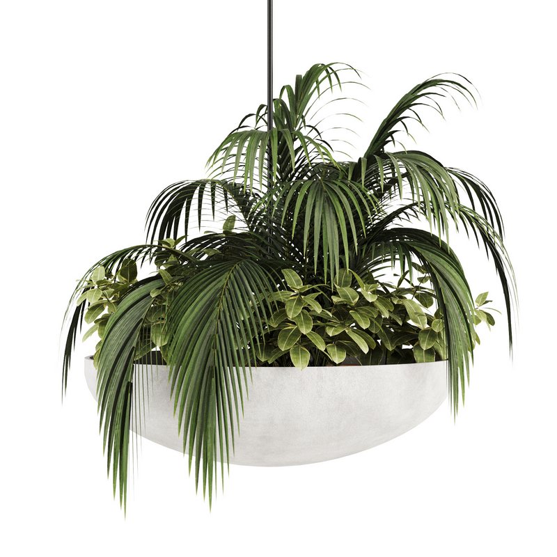 Indoorplants-Hanging plants set-82 - Image 3