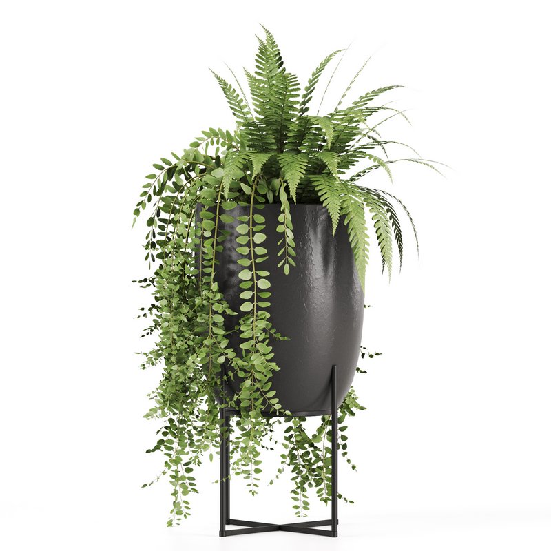 Indoorplants-149 - Image 3