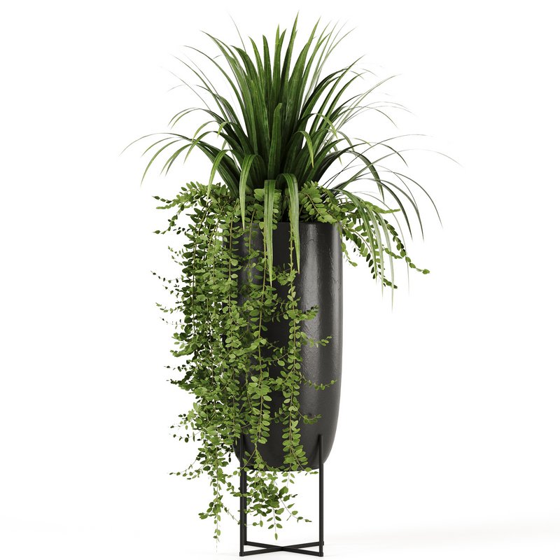 Indoorplants-149 - Image 2