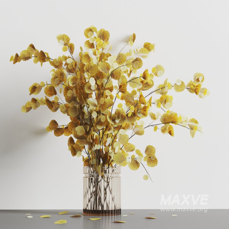 decorative plants001 - Image 1