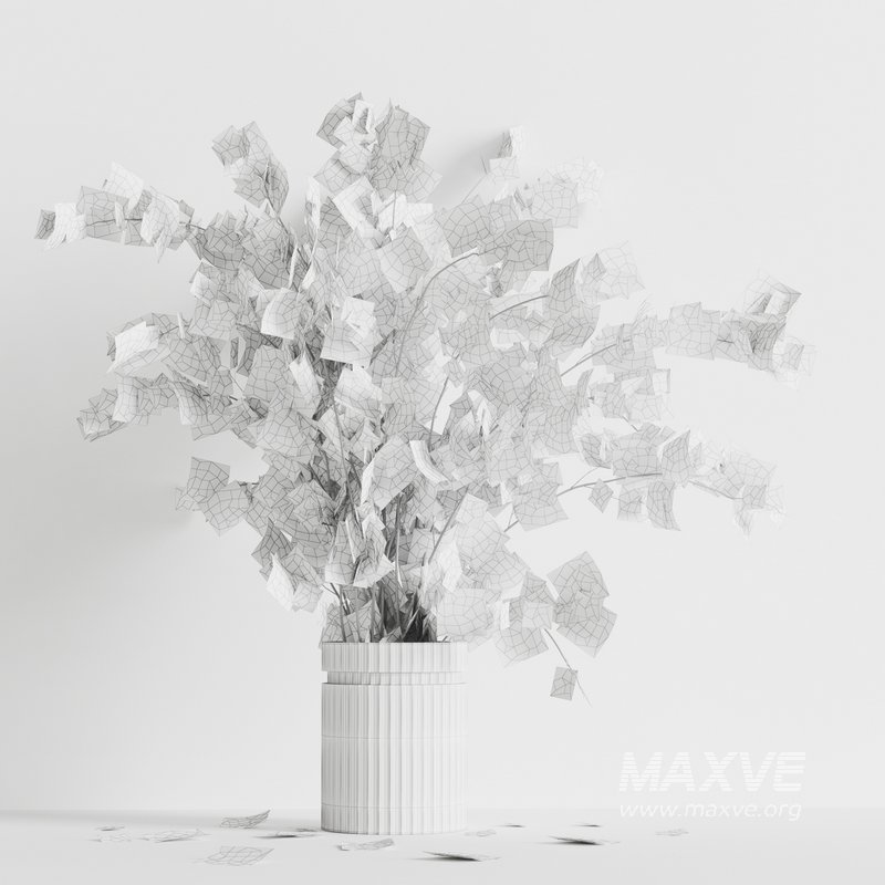 decorative plants001 - Image 2