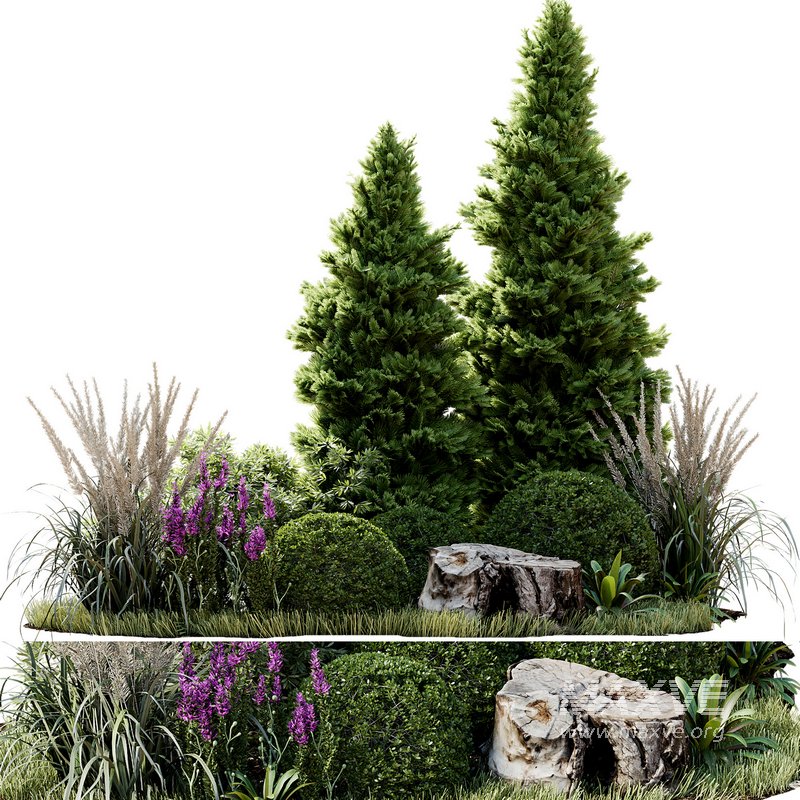 Outdoor Plant 34 - Image 1