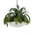Indoorplants-Hanging plants set-82 - Thumbnail 6