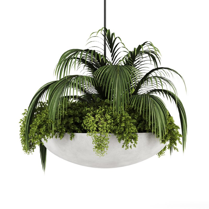 Indoorplants-Hanging plants set-82 - Image 6