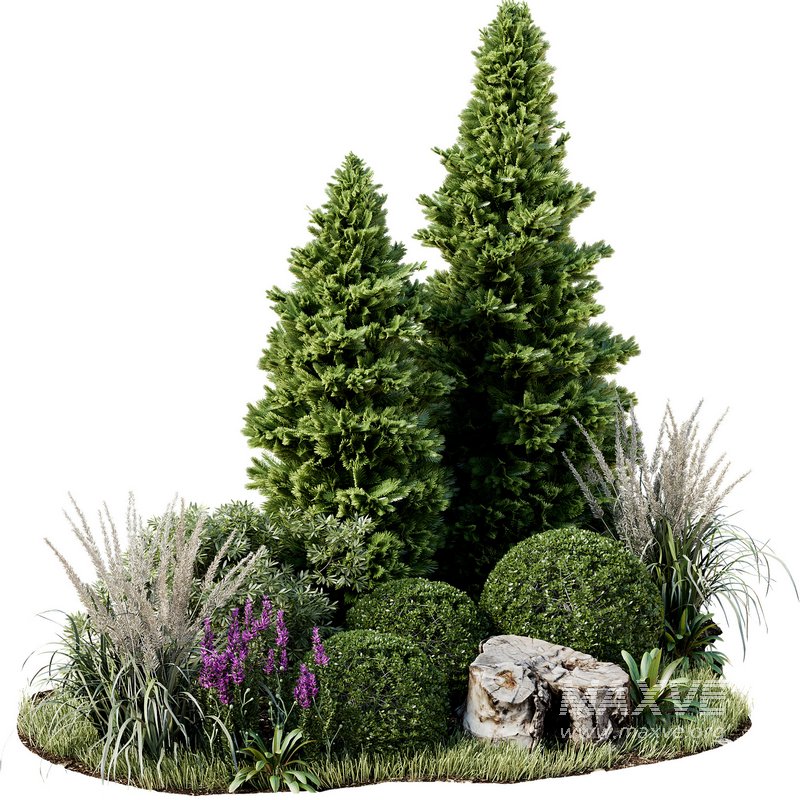 Outdoor Plant 34 - Image 3