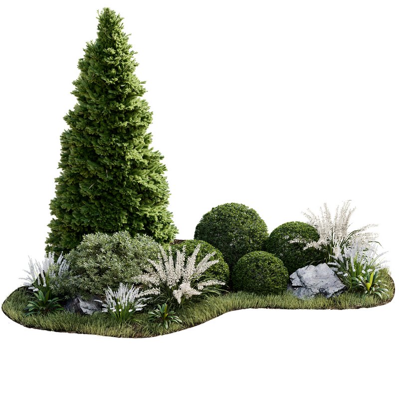 Outdoor Plant 33 - Image 3